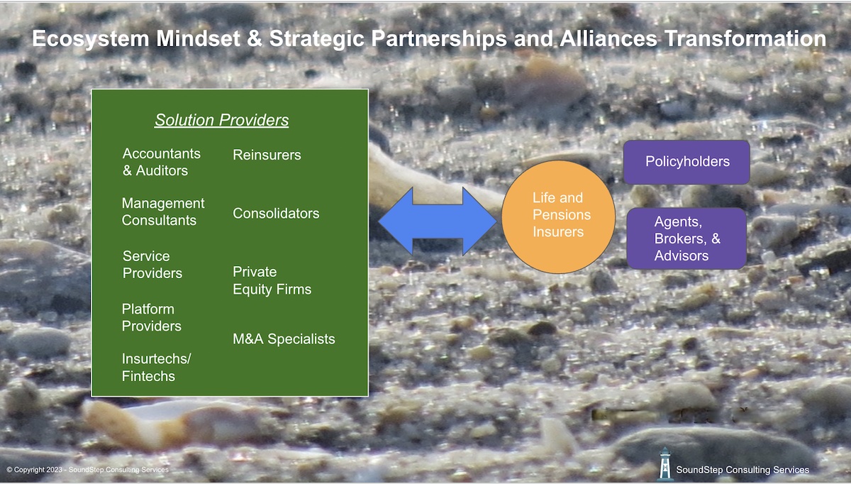 Ecosystem Mindset & Strategic Partnerships and Alliances